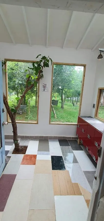 Tasha'S Garden Villa Jeju Holiday home